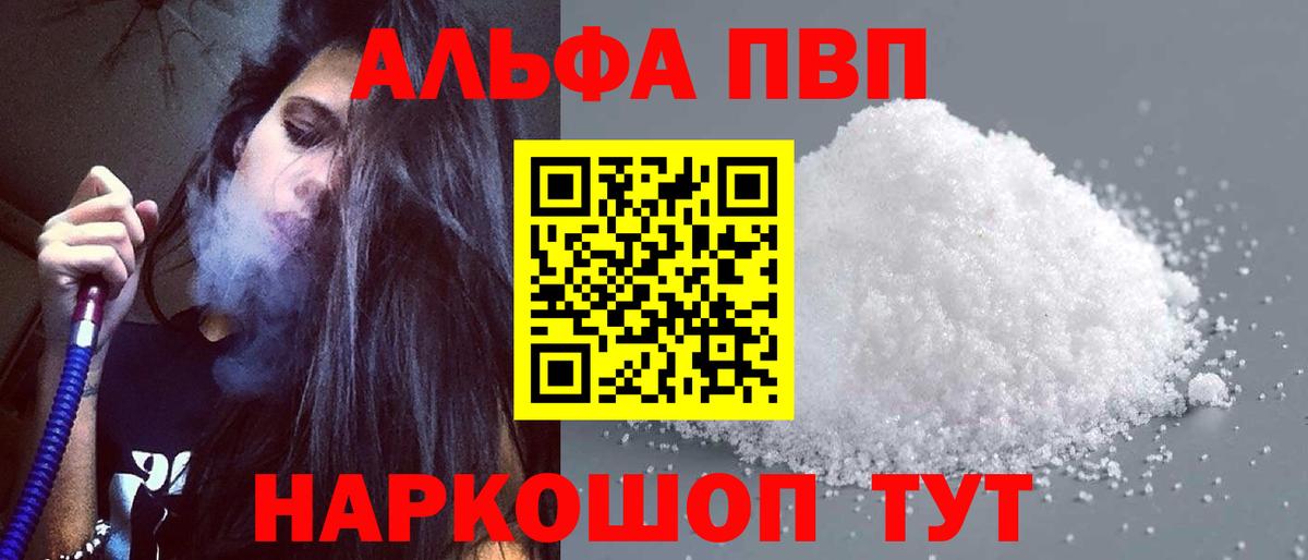Альфа ПВП СК Гатчина