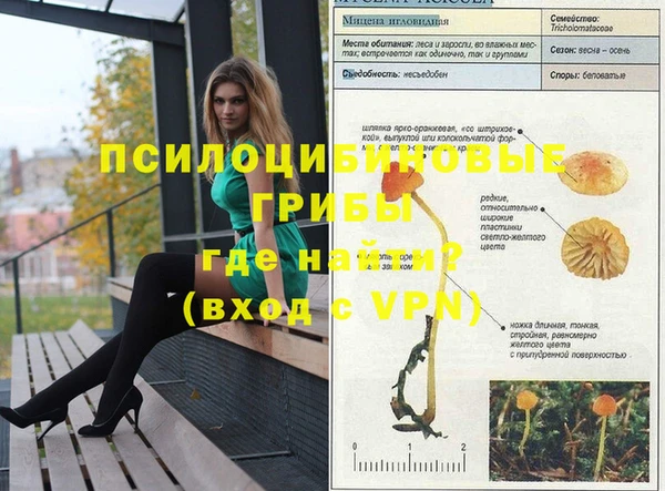 гидропоника Белокуриха