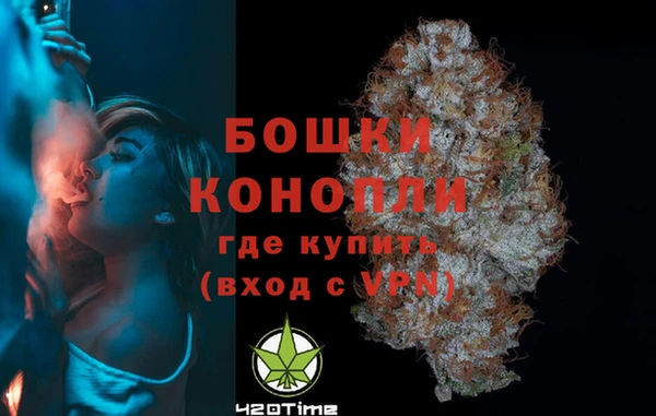 гидропоника Белокуриха