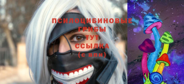 стаф Сосновоборск