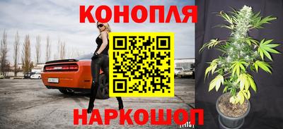 дживик Ирбит