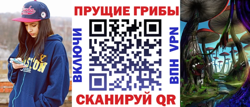 Псилоцибиновые грибы Psilocybe  Гатчина 