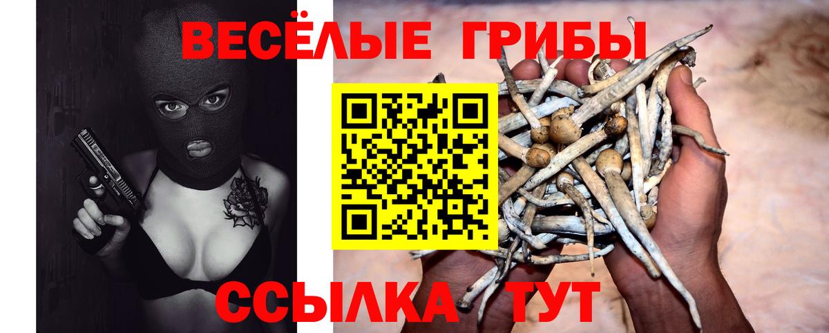 Гатчина  Псилоцибиновые грибы MAGIC MUSHROOMS  Вход с VPN 