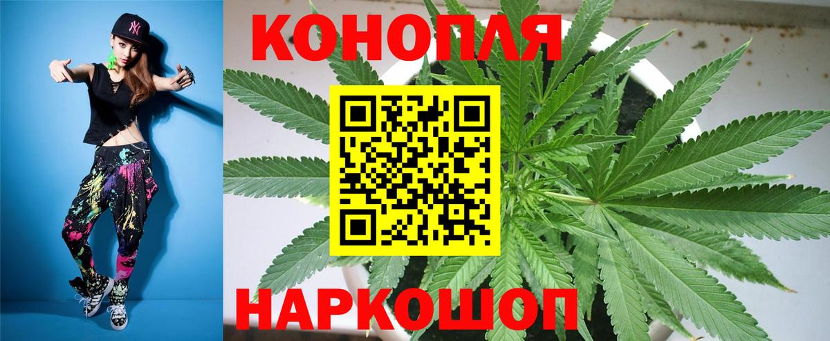 Гатчина  Бошки марихуана OG Kush  Шишки марихуана тримм  Шишки марихуана индика  Вход с VPN  Шишки марихуана THC 21% 